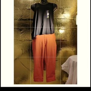 Beautiful black and orange